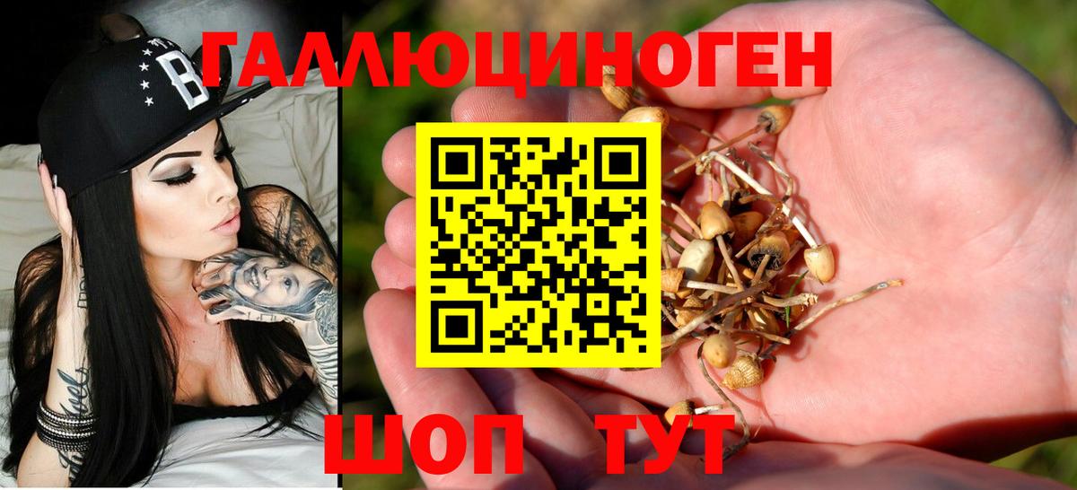 Псилоцибиновые грибы мухоморы  Псилоцибиновые грибы ЛСД  Ейск  как найти наркотики  Вход с VPN 