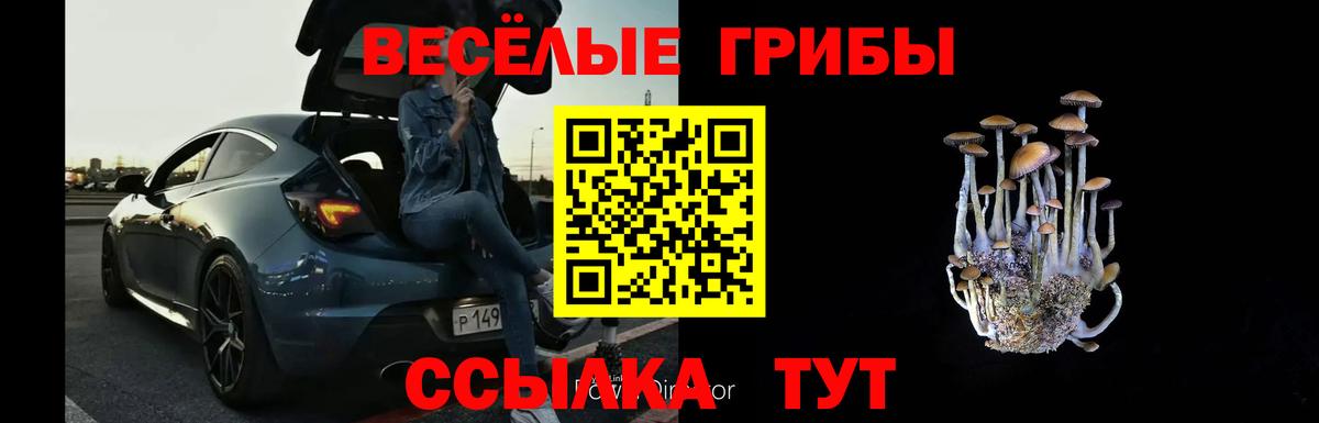Псилоцибиновые грибы MAGIC MUSHROOMS Ейск